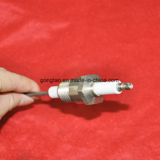 Ceramic Spark Ignitor Gas Pilot Electrode