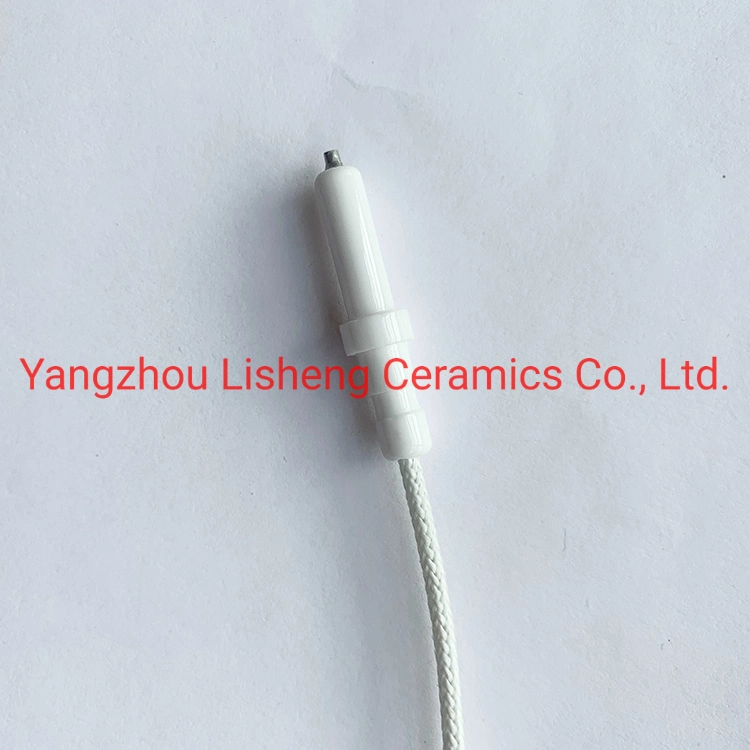 Liquefied Gas Ignition Electrode