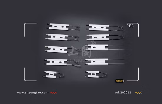 Ceramic Ignition Electrode Extensions