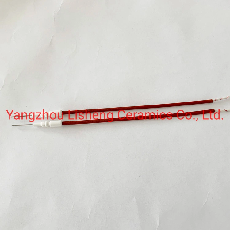 Oven Ignition Electrode Spark